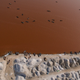 Illustration for article titled These Breathtaking Aerial Photos of Senegal Were Taken From a Kite